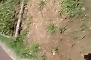 Fille Asiatique Interviewée au Parc Public