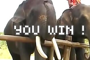 My Wild Crazy Week in Pattaya: Pussy-Smashing Success!